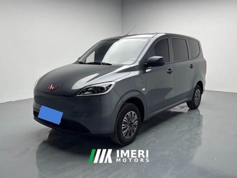 2026 Wuling Hongguang New Energy Pure Electric 300KM Standard
