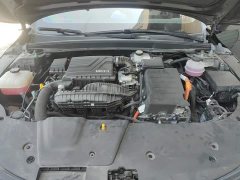 BYD Destroyer 05 Glory Edition DM-i 55KM Luxury - ფოტო 10