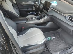 BYD Destroyer 05 Glory Edition DM-i 55KM Luxury - ფოტო 8