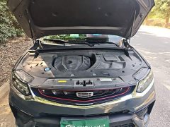 Geely Edition 350T - ფოტო 16