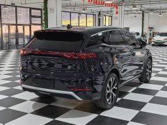 BYD Tang New Energy DM-i 115KM Premium Edition - ფოტო 7