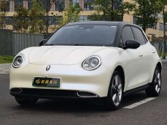ORA Good Cat 400km Standard Range Athena Edition Ternary Lithium - ფოტო 1