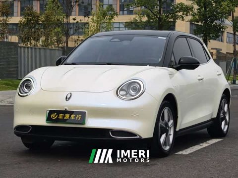 2021 ORA Good Cat 400km Standard Range Athena Edition Ternary Lithium - ავტომობილი ჩინეთიდან