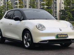 ORA Good Cat 400km Standard Range Athena Edition Ternary Lithium - ფოტო 3