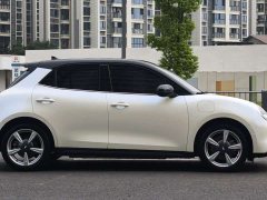 ORA Good Cat 400km Standard Range Athena Edition Ternary Lithium - ფოტო 4
