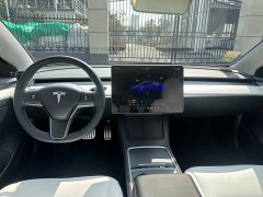 Tesla Model 3 Performance All-Wheel Drive - ფოტო 8