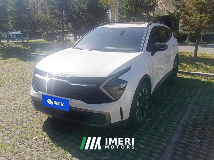 Kia Lion Pibo Tuojie 2.0T Two-Wheel Drive Luxury Edition