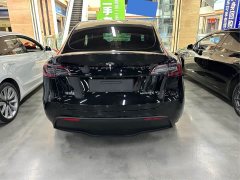Tesla Model Y Rear-Wheel Drive - ფოტო 10