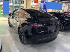 Tesla Model Y Rear-Wheel Drive - ფოტო 8