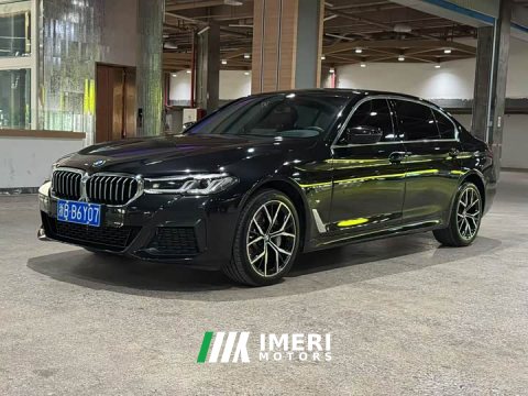 2021 BMW 5 Series 530Li Luxury M Sport Package - ავტომობილი ჩინეთიდან