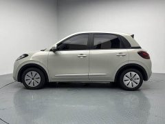 Wuling Binguo 203km Light Enjoy Edition - ფოტო 4