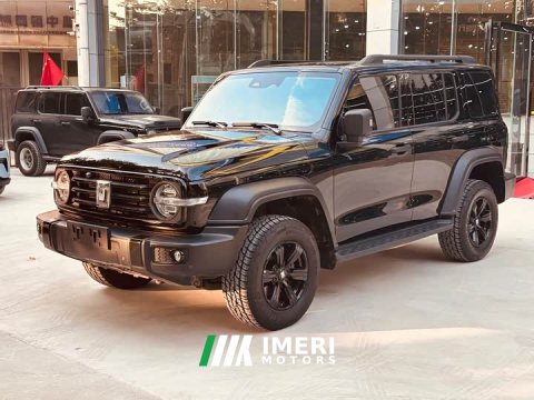 2023 Tank 300 Off-Road Edition 2.0T Challenger - ავტომობილი ჩინეთიდან