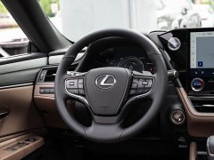 Lexus ES 300h Premium Edition - ფოტო 14