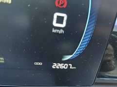BYD Song Pro New Energy DM-i 71KM Glory Edition Pilot - ფოტო 8