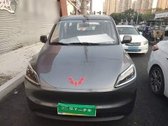 Wuling Hongguang New Energy 2024 Pure Electric 300KM Standard - ფოტო 2
