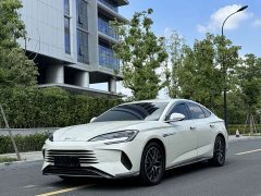 BYD Seal 07 DM-i 1.5L 125km Elite - ფოტო 1