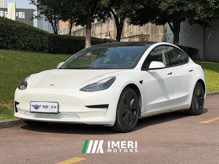 Tesla Model 3 Facelift Standard Range RWD Upgrade 3D1 - ავტომობილი ჩინეთიდან