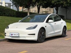 Tesla Model 3 Facelift Standard Range RWD Upgrade 3D1 - ფოტო 1