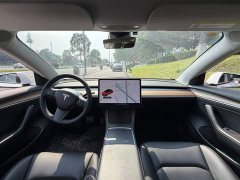 Tesla Model 3 Facelift Standard Range RWD Upgrade 3D1 - ფოტო 13
