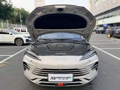 BYD Song Plus New Energy 2025 DM-i 112KM Prestige - ფოტო 15