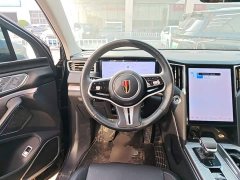 FAW Red Flag HS7 PHEV 2.0T PHEV AWD Flagship Comfort 7-Seater - ფოტო 10