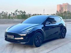 Tesla Model Y Facelift Rear-Wheel Drive - ფოტო 1