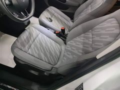 Leapmotor Leapo T03 310 Comfort Edition - ფოტო 14