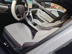 BYD Song Plus New Energy 2025 DM-i 112KM Prestige - ფოტო 14
