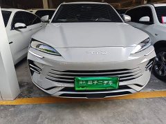 BYD Song Plus New Energy 2025 DM-i 112KM Prestige - ფოტო 2