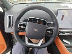 Li Auto L9 Max - ფოტო 10