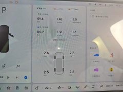 Li Auto L9 Max - ფოტო 11