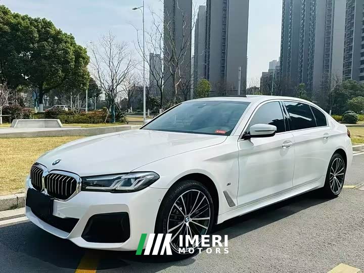 BMW 5 Series 530Li Premier M Sport Package - ავტომობილი ჩინეთიდან