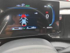 BYD Qin PLUS Champion Edition DM-i 55KM Leading - ფოტო 11