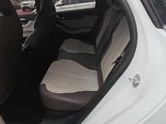 BYD Qin PLUS Champion Edition DM-i 55KM Leading - ფოტო 16