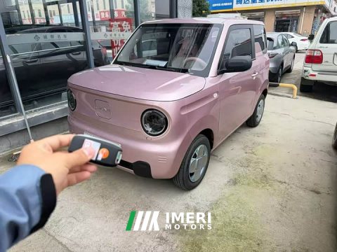 2025 Geely Panda Mini 210km Vitality Edition - ავტომობილი ჩინეთიდან