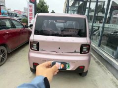 Geely Panda Mini 210km Vitality Edition - ფოტო 2