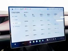 Xiaomi SU7 2024 Quad Motor Ultra-Long Range Advanced Autonomous Driving Max - ფოტო 10
