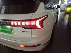 Lynk & Co Geely Lynk & Co 09 EM-P 2.0T Diesel EM-P Voyager Edition PM 7-Seater - ფოტო 7