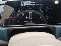ORA Good Cat 400km Standard Range Athena Edition Ternary Lithium - ფოტო 11