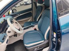 ORA Good Cat 400km Standard Range Athena Edition Ternary Lithium - ფოტო 14