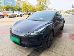 Tesla Model 3 Rear-Wheel Drive - ფოტო 1