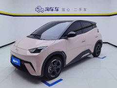 BYD Seagull Glory Edition 405km Flying Edition - ფოტო 1