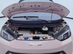 BYD Seagull Glory Edition 405km Flying Edition - ფოტო 10