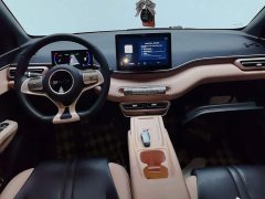 BYD Seagull Glory Edition 405km Flying Edition - ფოტო 12
