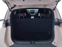 BYD Seagull Glory Edition 405km Flying Edition - ფოტო 4