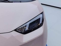 BYD Seagull Glory Edition 405km Flying Edition - ფოტო 5
