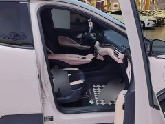 BYD Seagull Glory Edition 405km Flying Edition - ფოტო 8