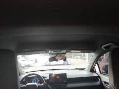 Toyota Corolla Sharp Release 2.0L Pioneer Edition - ფოტო 17