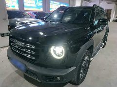 Great Wall Dachshund 2.0T DCT Four-Wheel Drive Howling Celestial Dog Edition - ფოტო 1