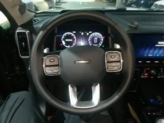 Great Wall Dachshund 2.0T DCT Four-Wheel Drive Howling Celestial Dog Edition - ფოტო 10
